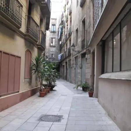 Charm And Privacy In Gothic Quarter - By Myrentalhost Barcelona